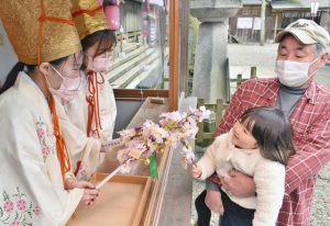 福娘（左２人）と桜の小枝を重ね合う参拝者の子ども＝敦賀市の金崎宮で