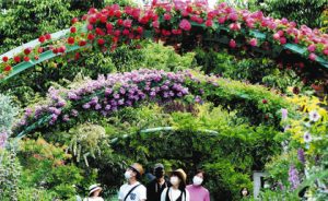 華やかなバラのアーチの通り抜けを楽しむ人たち＝浜松市西区村櫛町の浜名湖ガーデンパークで