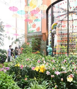 ユリなどの夏の季節の花々が咲き誇る会場＝砺波市のチューリップ四季彩館で