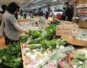 新鮮な野菜が並ぶ地場もん屋総本店＝いずれも富山市で