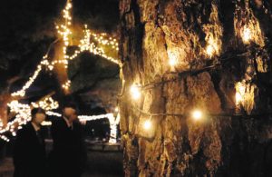 樹木同士に渡すなどして飾り付けられた電飾＝鈴鹿市神戸５の神戸公園で