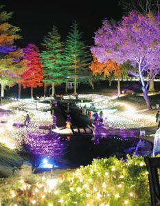 色とりどりに光りが変化するイルミネーション＝いずれも伊豆市修善寺の虹の郷で
