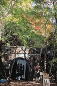 秋の公開に向けて色づき始めた木々＝１９日、春日井市玉野町で