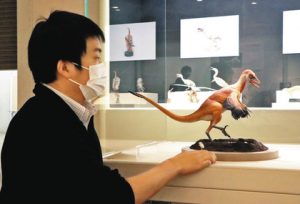 初公開となるトロオドン科恐竜の復元模型＝関市小屋名の県博物館で