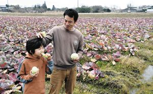 農地で紫キャベツをつくる山田さん（右）＝養老町大巻で