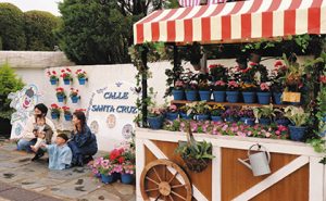 色とりどりの花鉢が並ぶ生花店風のフラワーワゴン