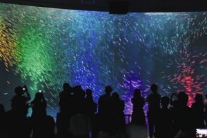 ＬＥＤライトで虹色に照らされたマイワシの群れ＝名古屋市港区の名古屋港水族館で