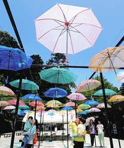 梅雨の晴れ間にカラフルな傘が涼を呼ぶ「アンブレラスカイ」＝１３日午後、袋井市の法多山尊永寺で
