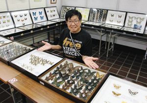国内外のチョウの標本を紹介する山崎さん＝蒲郡市立図書館で