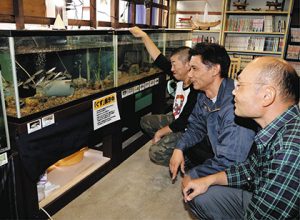 動橋川で魚を捕まえた（左から）嶋中卓己さん、前川真一さん、中谷憲保さん