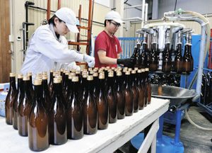 新酒を瓶に詰める従業員たち＝揖斐川町三輪の所酒造で