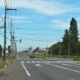 美唄市内を通る国道12号線は延長157キロ。札幌から旭川を結ぶ。内29キロ間は「日本一長い直線道路」だ。
