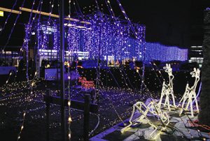 藤棚やトナカイを模した電飾が輝くロータリー＝江南市の名鉄江南駅前で