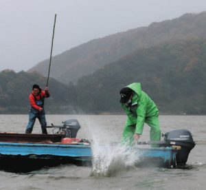 竹ざおで勢いよく湖面をたたき、魚を刺し網に追い込む漁師たち＝若狭町の三方湖で