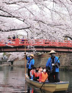 川面から桜の花を楽しめる舟下り＝２０２２年４月、大垣市船町で