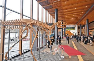 木製の恐竜骨格がお目見えした屋内広場＝いずれも福井市観光交流センターで