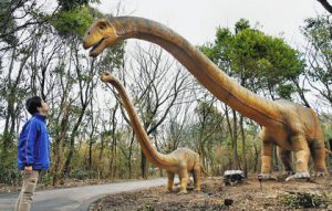 草食恐竜エリアにいるマメンチサウルスの親子。親恐竜（右側）は全長２０メートルと迫力満点＝いずれも坂井市三国町浜地の芝政ワールドで