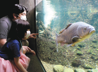 水槽の中の魚を見つめる親子連れ＝各務原市川島笠田町のアクア・トトぎふで