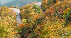 錦秋を迎え、色鮮やかな紅葉が山肌を彩る伊吹山＝滋賀・岐阜県境で