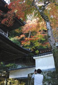 山門の脇で西日に照らされる３色に染まったモミジ＝東近江市の永源寺で