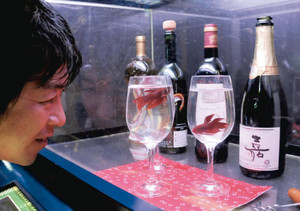 ワイングラスの中で泳ぐ淡水魚「ベタ」＝各務原市川島笠田町のアクア・トトぎふで
