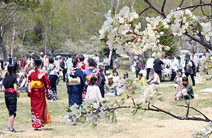 スモモの花が咲く中、開山を祝った園遊会＝松本市安曇の乗鞍高原一の瀬園地で