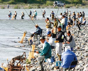 早朝から大勢の釣り人でにぎわう天竜川河川敷＝１日午前６時５０分、磐田市で