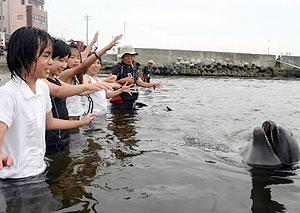 イルカとの触れ合いを楽しむ子どもたち＝南知多町日間賀島で