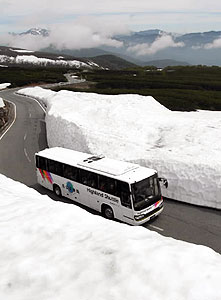 山頂近くの雪壁の間をバスが通行する県道乗鞍岳線＝松本市安曇の乗鞍高原で