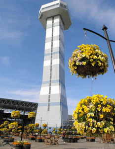 展望タワー周辺を飾る「空中花壇」のパンジー＝海津市海津町の国営木曽三川公園センターで