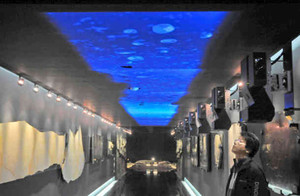 古代の海をイメージした映像を投映する「動く古代天井」。手前右は提案した一島啓人さん＝勝山市の県立恐竜博物館で