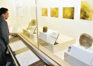 昨年発見された西浜千軒遺跡の遺物＝長浜市の長浜城歴史博物館で