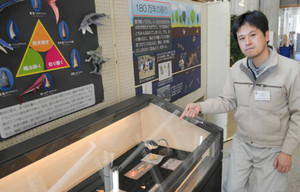 ワニの化石や生態を紹介する学芸員の阿部さん＝多賀町立博物館で