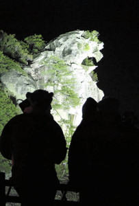 ライトアップで浮かび上がる世界遺産の獅子岩＝熊野市の七里御浜で